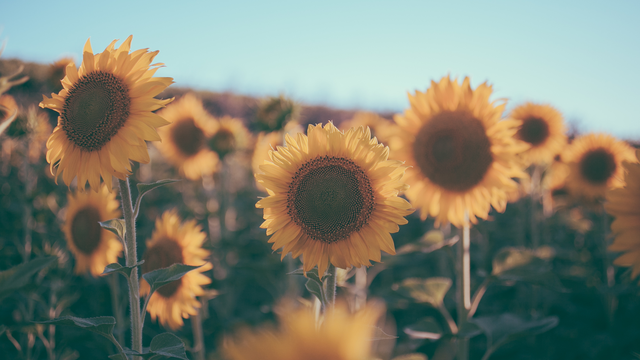 SAVE THE DATE - Kreismitgliederversammlung